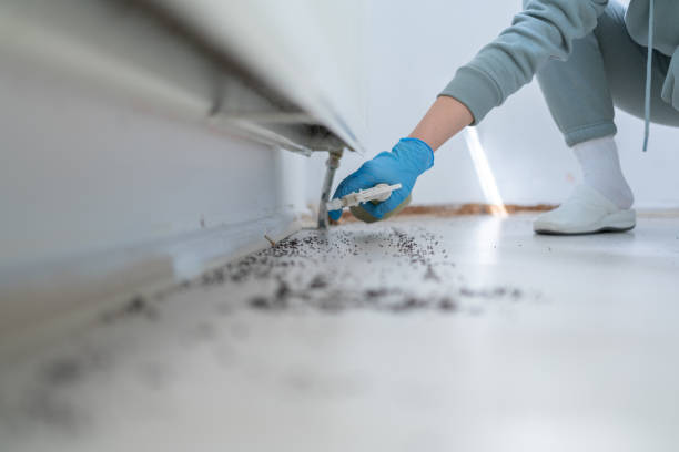 Professional Pest Control in Coldwater, MS